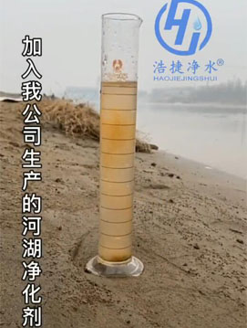 河湖净化剂专业处理河道污染不伤鱼虾！