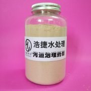 城市黑臭河道治理方法的研究