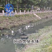 杀菌灭藻剂怎么有效杀灭河道黑臭水体中藻类